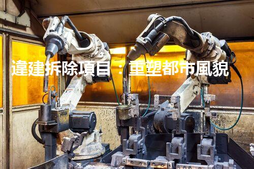 違建拆除項目：重塑都市風貌，共建和諧家園